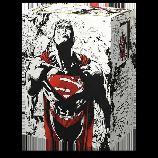Dragon Shield standard 100 matte Dual superman